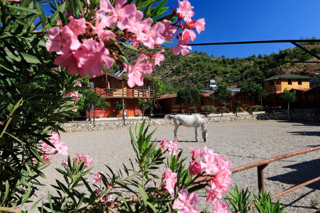 Oranj Ranch Hotel Kemer Exteriér fotografie