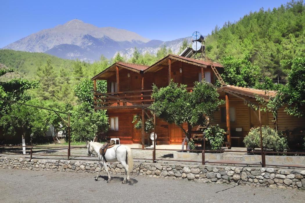 Oranj Ranch Hotel Kemer Exteriér fotografie