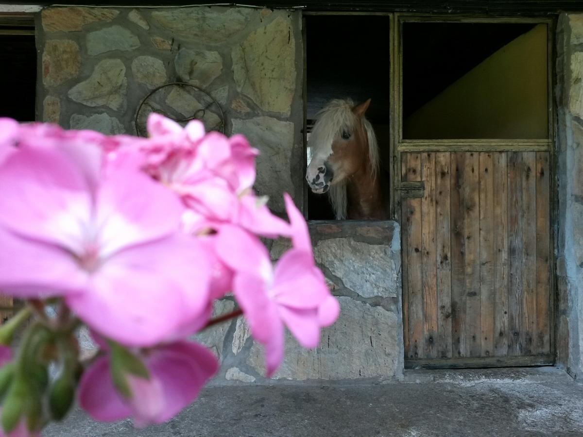 Oranj Ranch Hotel Kemer Exteriér fotografie