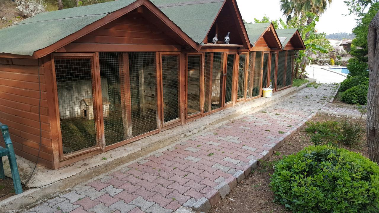 Oranj Ranch Hotel Kemer Exteriér fotografie