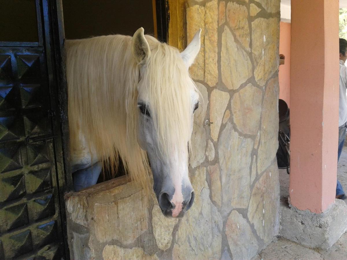 Oranj Ranch Hotel Kemer Exteriér fotografie